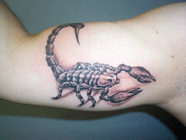 Татуировка скорпион.