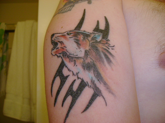Татуировка воющий волк.